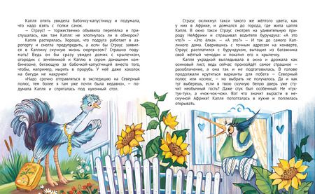 Фотография книги "Юлия Симбирская: Цапля Капля, или Секреты в конверте"