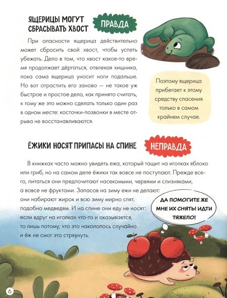 Фотография книги "Юлия Соколова: А это правда?"
