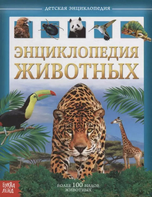 Обложка книги "Юлия Соколова: Энциклопедия животых. Детская энциклопедия"