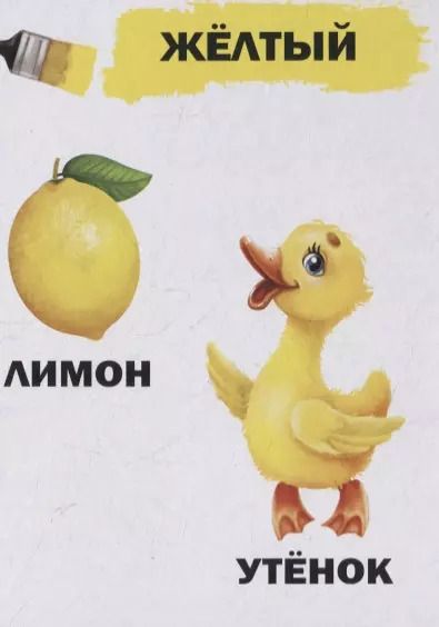 Фотография книги "Юлия Соколова: Цвета для малышей"