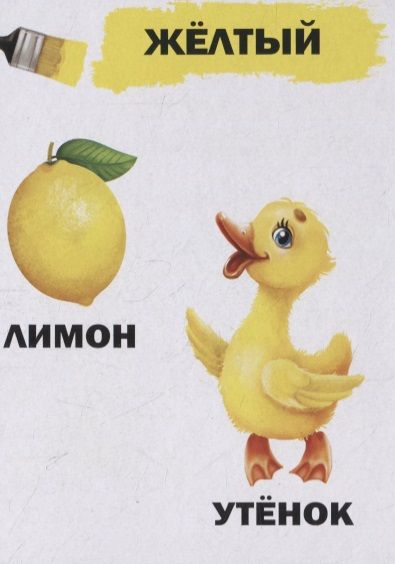 Фотография книги "Юлия Соколова: Цвета для малышей"