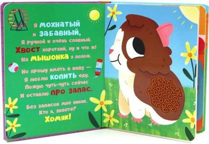 Фотография книги "Юлия Весова: Кто я? Питомцы"