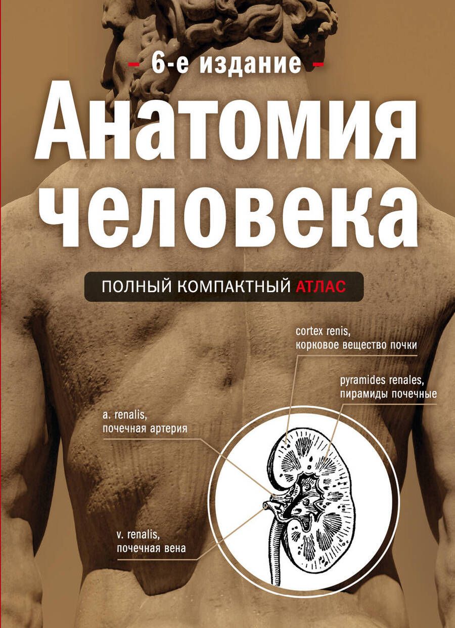 Обложка книги "Юрий Боянович: Анатомия человека. Полный компактный атлас"