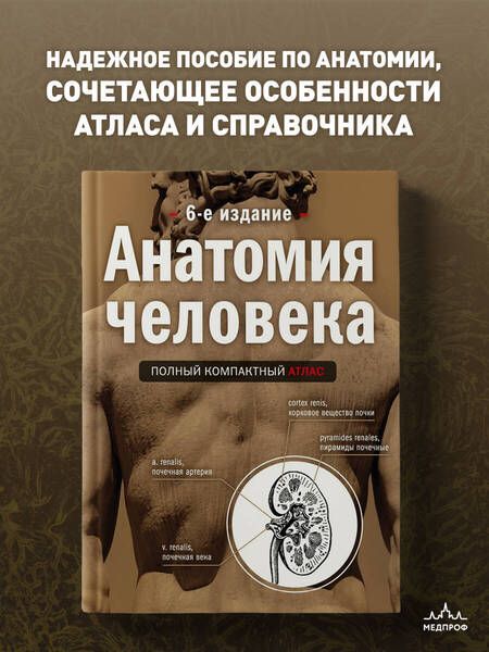 Фотография книги "Юрий Боянович: Анатомия человека. Полный компактный атлас"