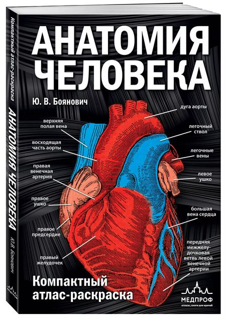 Фотография книги "Юрий Боянович: Анатомия человека: компактный атлас-раскраска"