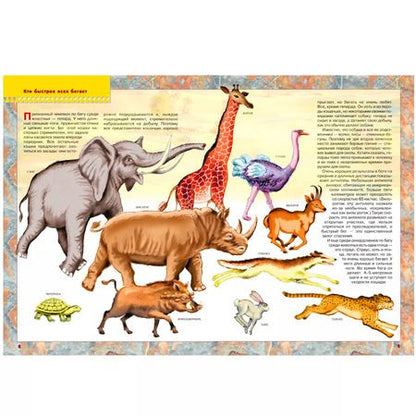 Фотография книги "Юрий Дорожин: Кто самый, самый? Для занятий с детьми от 4 до 5 лет"