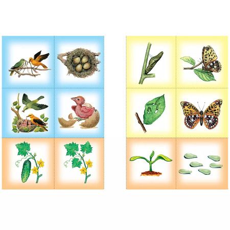 Фотография книги "Юрий Дорожин: Тайны природы. Для занятий с детьми от 5 до 6 лет"