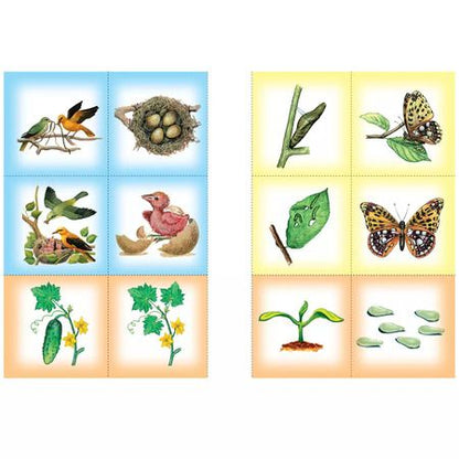 Фотография книги "Юрий Дорожин: Тайны природы. Для занятий с детьми от 5 до 6 лет"