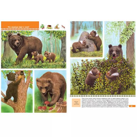 Фотография книги "Юрий Дорожин: Тайны природы. Для занятий с детьми от 5 до 6 лет"