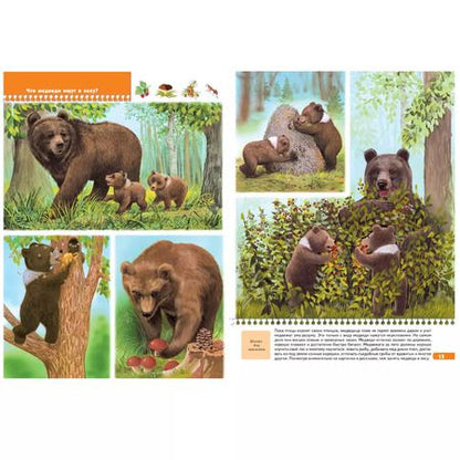 Фотография книги "Юрий Дорожин: Тайны природы. Для занятий с детьми от 5 до 6 лет"