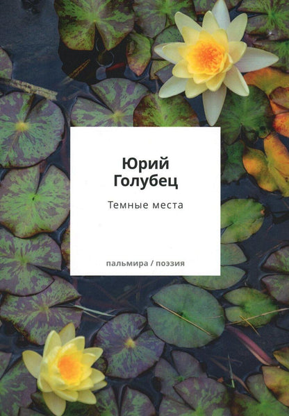 Обложка книги "Юрий Голубец: Темные места. Вторая книга песен"