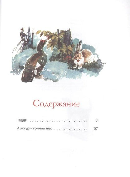 Фотография книги "Юрий Казаков: Арктур - гончий пёс: рассказы"
