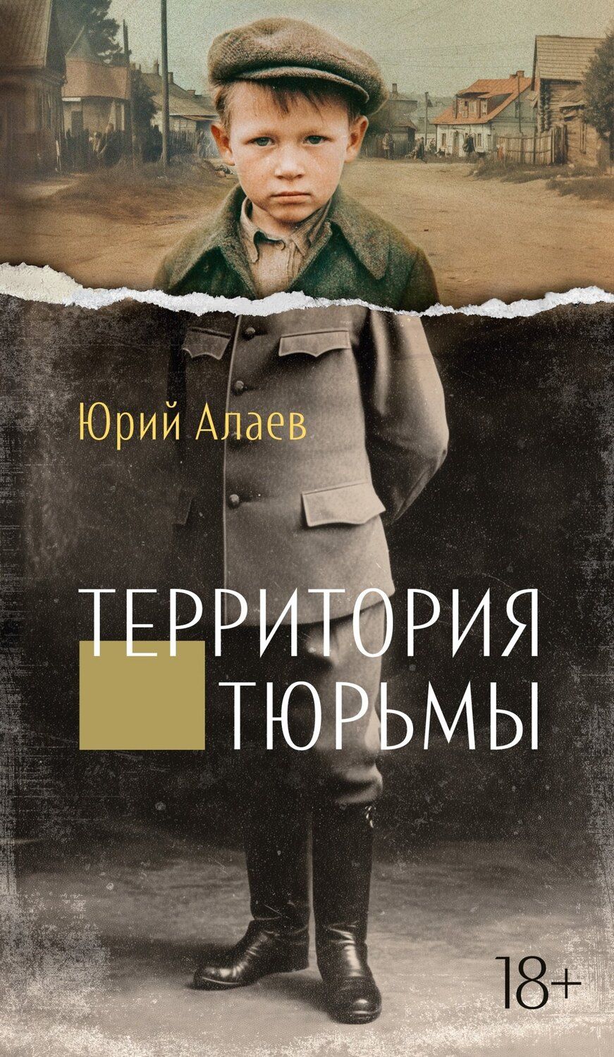 Обложка книги "Юрий Прокопьевич: Территория тюрьмы"