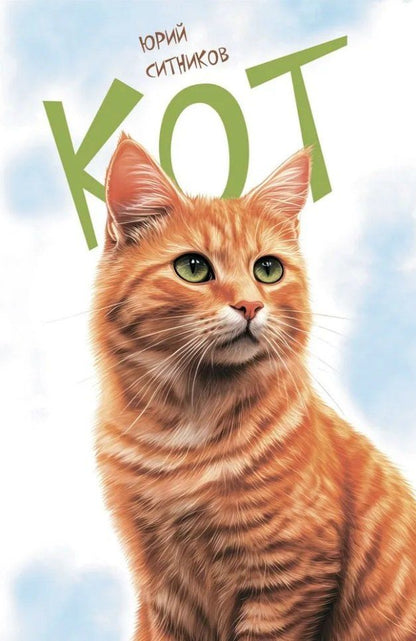 Обложка книги "Юрий Ситников: Кот"