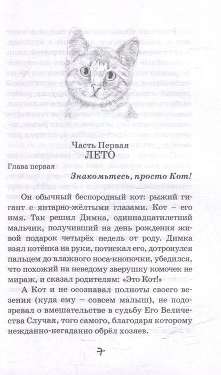 Фотография книги "Юрий Ситников: Кот"