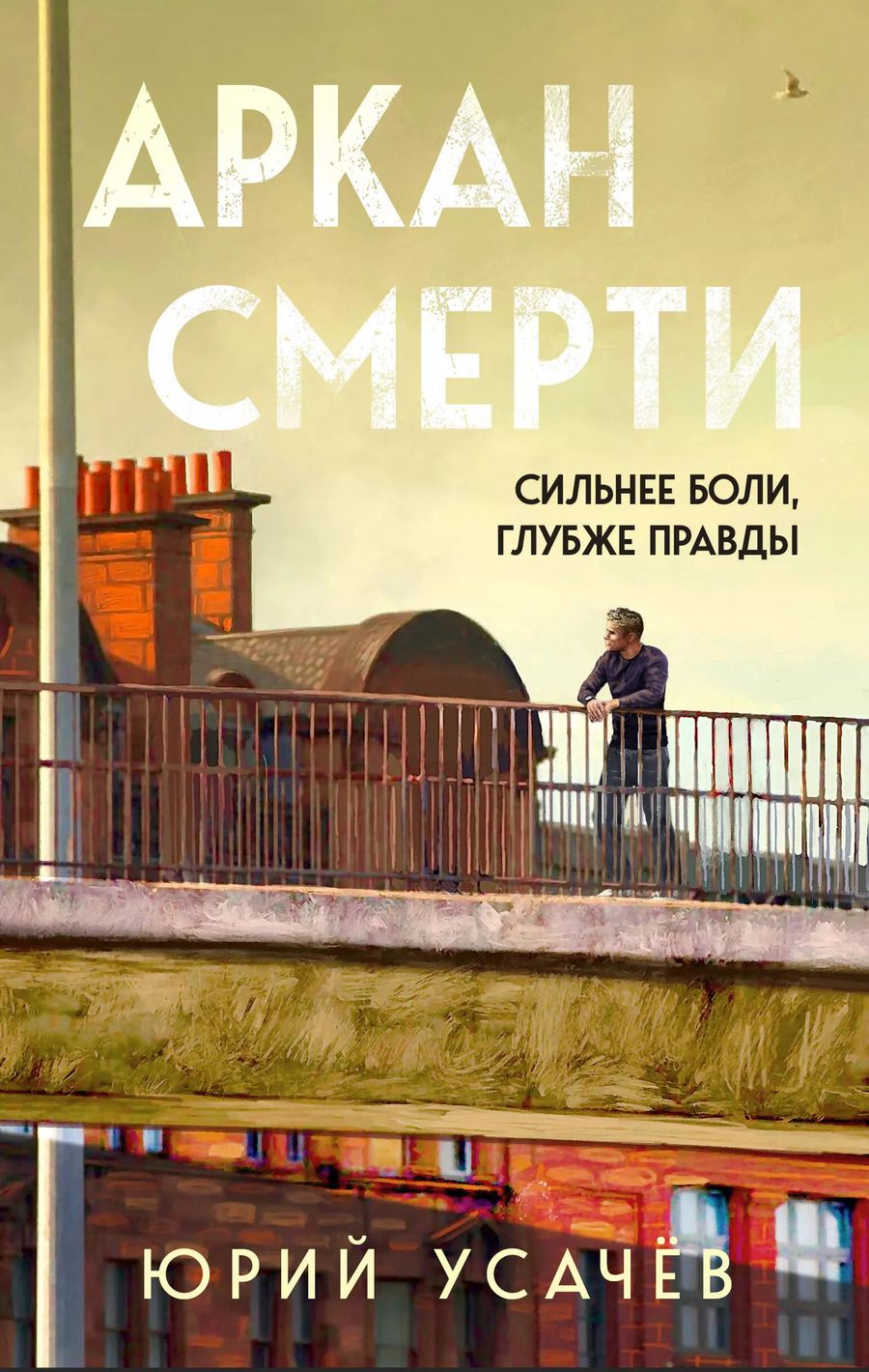 Обложка книги "Юрий Усачёв: Аркан смерти"