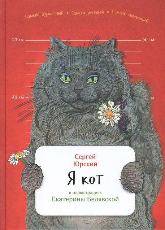 Обложка книги "Юрский: Я кот"
