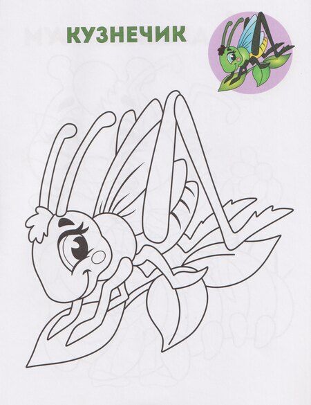 Фотография книги "Забавные букашки. Книжка-раскраска"