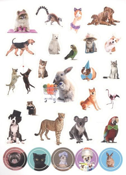 Фотография книги "Забавные животные"