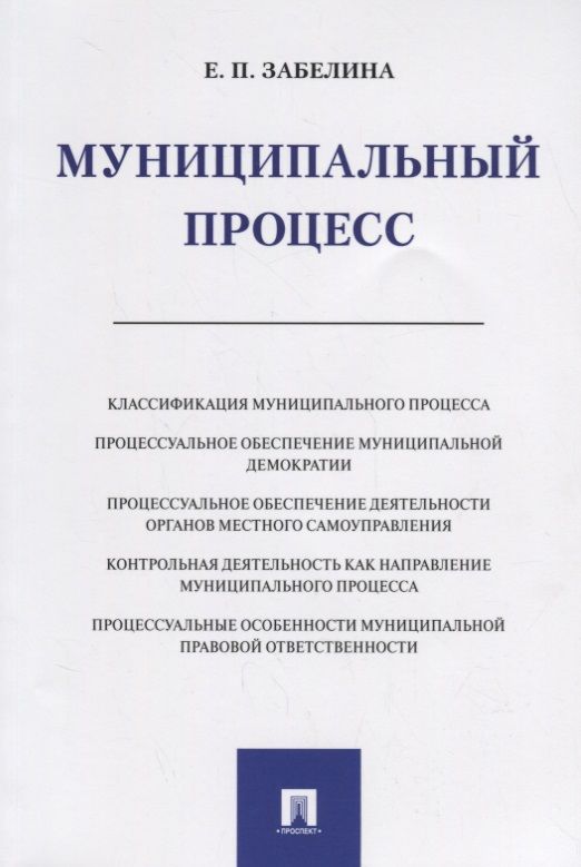 Обложка книги "Забелина: Муниципальный процесс"