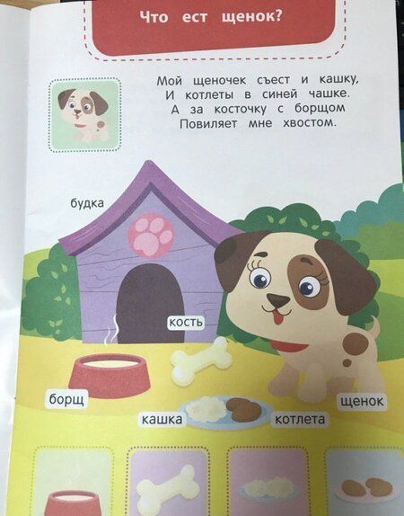 Фотография книги "Заболотная, Майер: Пир на ферме. Книжка с наклейками"