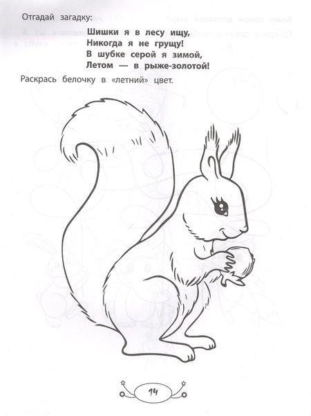 Фотография книги "Заболотная: Раскраска для девочек. Раскраска с заданиями и загадками"