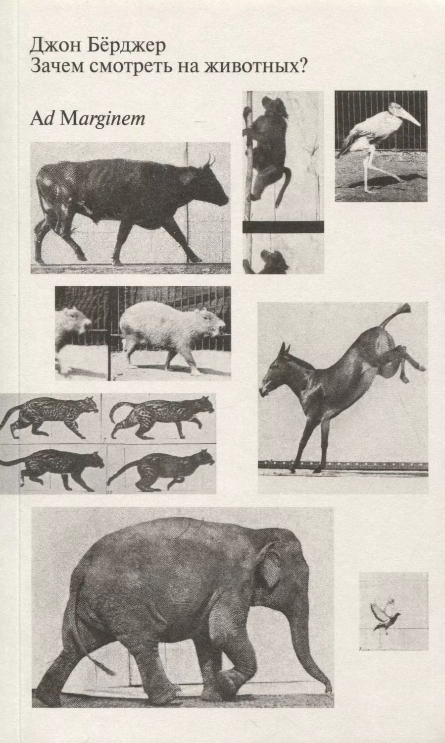 Обложка книги "Зачем смотреть на животных?"