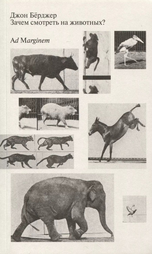 Обложка книги "Зачем смотреть на животных?"