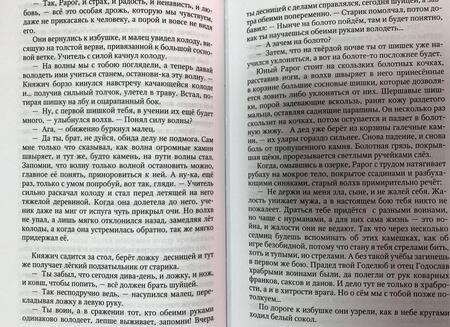Фотография книги "Задорнов, Гнатюк, Гнатюк: Рюрик. Полет сокола"