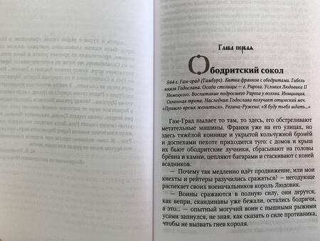 Фотография книги "Задорнов, Гнатюк, Гнатюк: Рюрик. Полет Сокола"