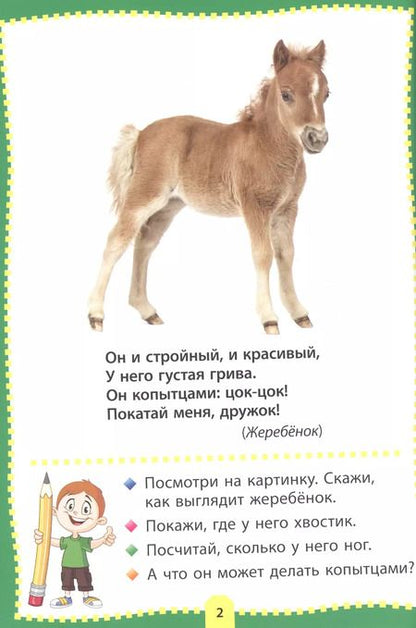 Фотография книги "Загадки о зверятах. Фотокнига для самых маленьких"