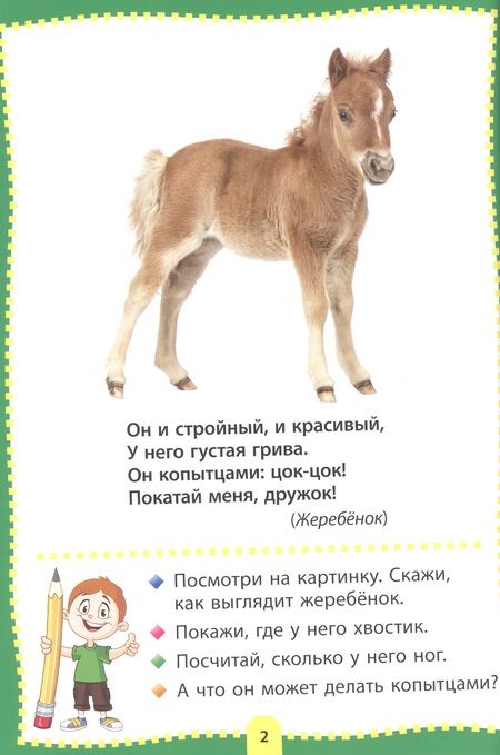 Фотография книги "Загадки о зверятах. Фотокнига для самых маленьких"