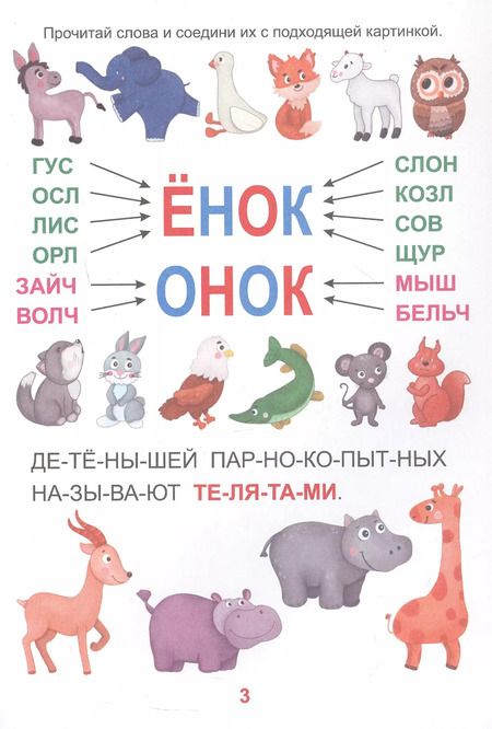 Фотография книги "Загадки природы. Крупные буквы. Читаем по слогам"
