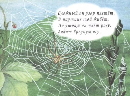 Фотография книги "Загадки в картинках"