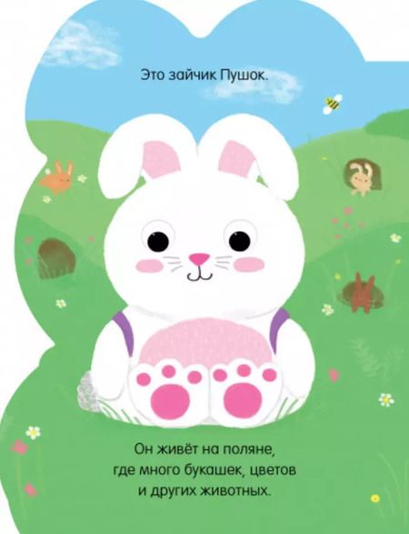 Фотография книги "Зайчик Пушок"