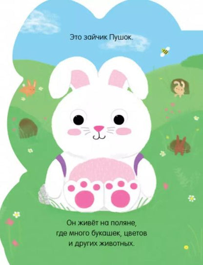 Фотография книги "Зайчик Пушок"