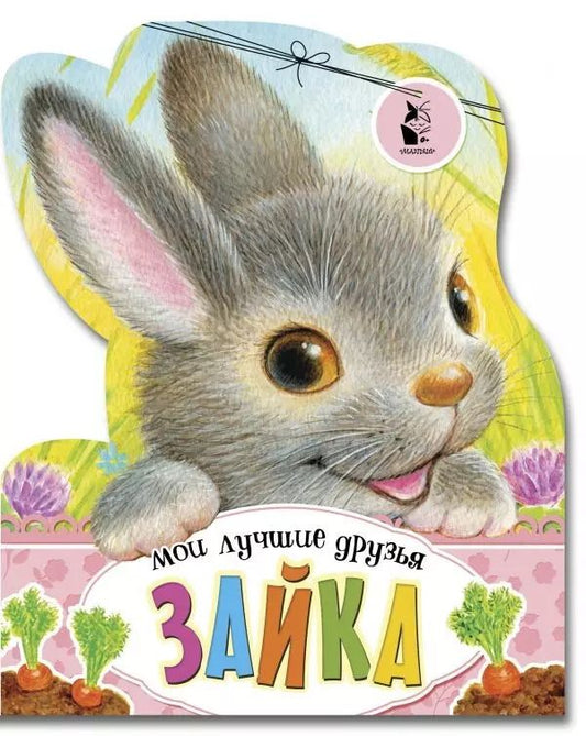 Обложка книги "Зайка"