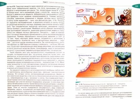 Фотография книги "Захаров, Мамонтов, Сонин: Биология. Общая биология. 10 класс. Углубленный уровень. Учебник. Вертикаль. ФГОС"