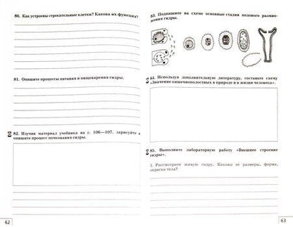 Фотография книги "Захаров, Сонин: Биология. 7 класс. Многообразие живых организмов. Рабочая тетрадь к уч. В. Захарова, Н. Сонина. ФГО"