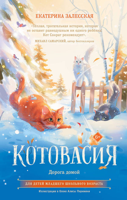 Обложка книги "Залесская: Котовасия. Дорога домой"