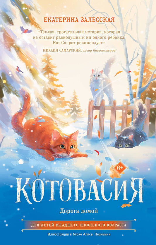 Обложка книги "Залесская: Котовасия. Дорога домой"