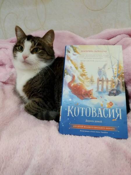 Фотография книги "Залесская: Котовасия. Дорога домой"