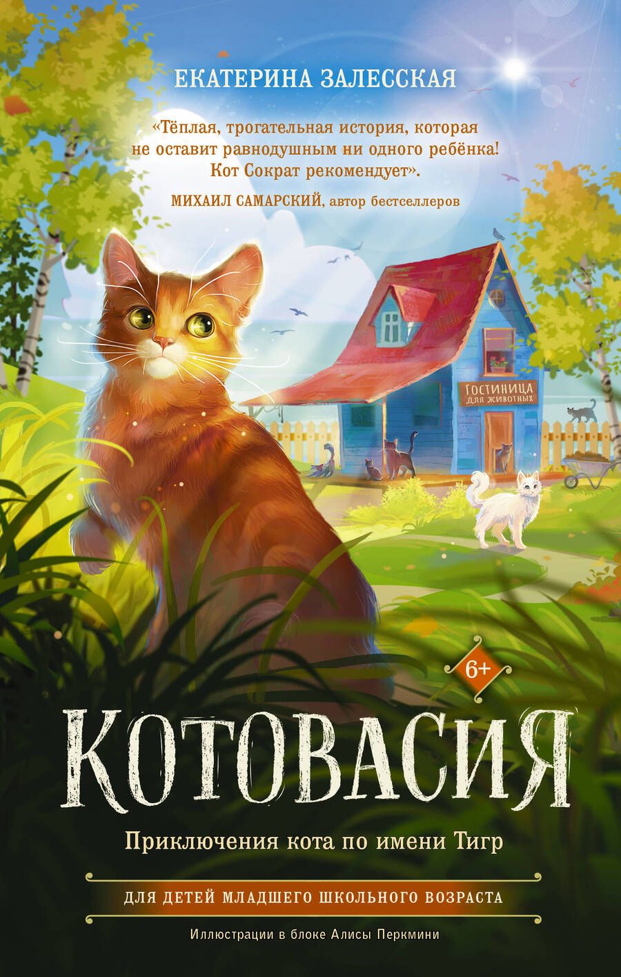 Обложка книги "Залесская: Котовасия. Приключения кота по имени Тигр"