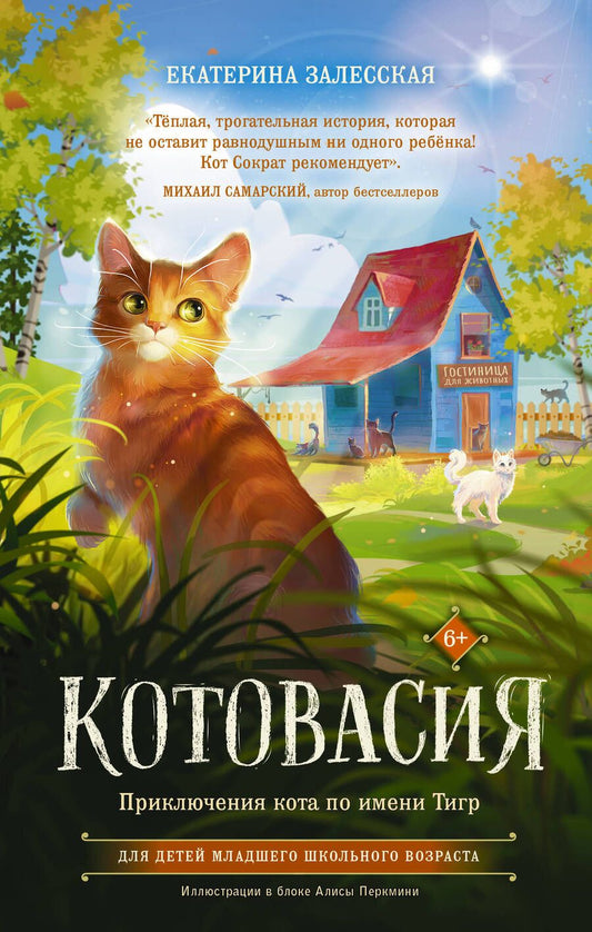 Обложка книги "Залесская: Котовасия. Приключения кота по имени Тигр"
