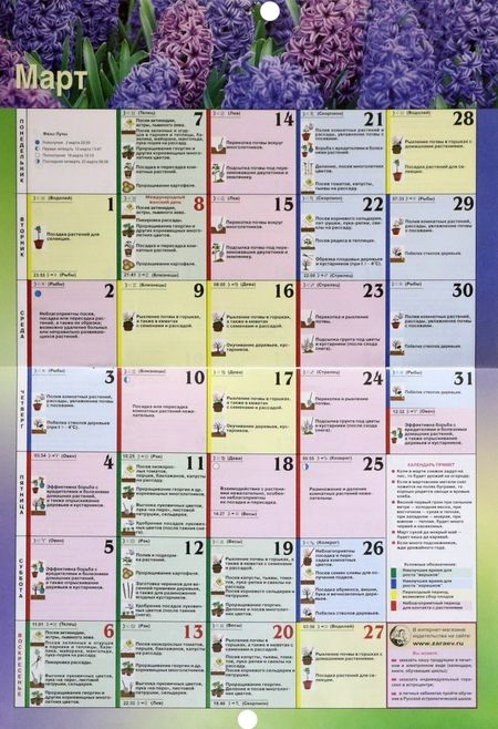 Фотография книги "Зараев: Календарь дачника и цветовода на каждый день 2023"