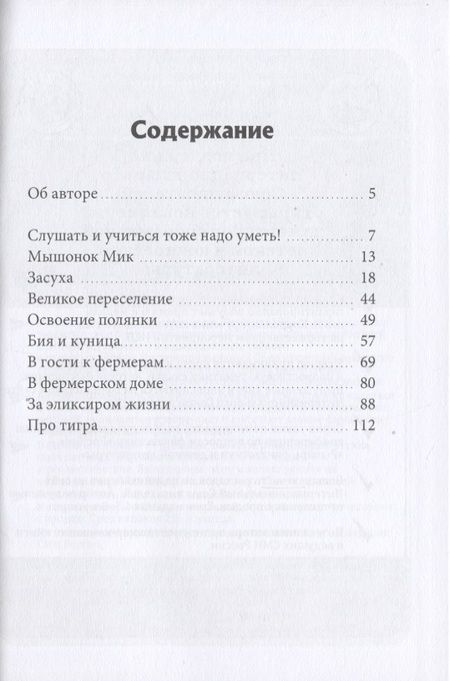 Фотография книги "Засядкин: Необыкновенные приключения мышонка Мика и его друзей. Часть 1"