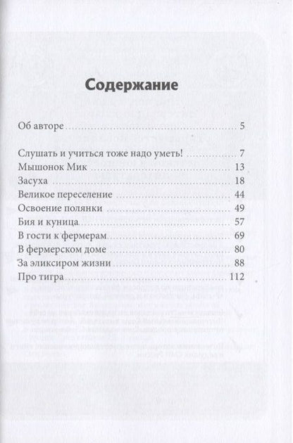 Фотография книги "Засядкин: Необыкновенные приключения мышонка Мика и его друзей. Часть 1"
