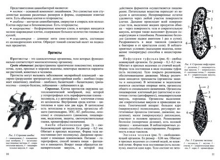 Фотография книги "Заяц, Давыдов, Бутвиловский: Биология. Интенсивный курс"