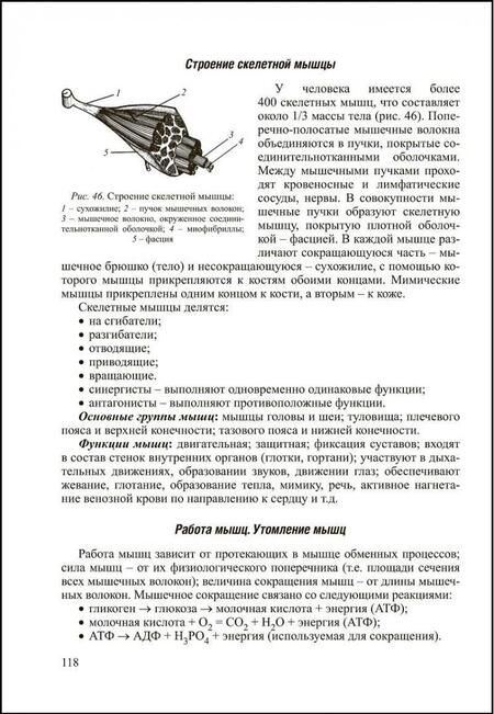 Фотография книги "Заяц, Давыдов, Бутвиловский: Биология. Интенсивный курс"