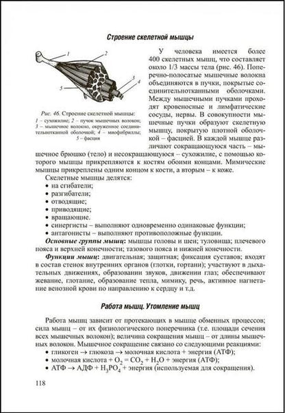 Фотография книги "Заяц, Давыдов, Бутвиловский: Биология. Интенсивный курс"